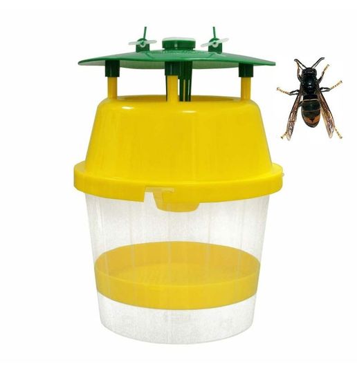 05 02 24 Trampas Velutinas